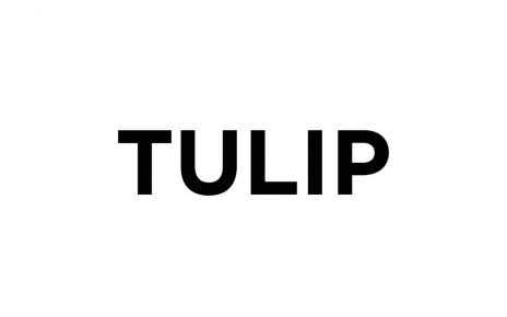 MLI Tulip